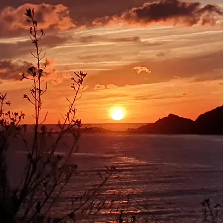 Lejlighed Les Sables Blancs De La Liscia *