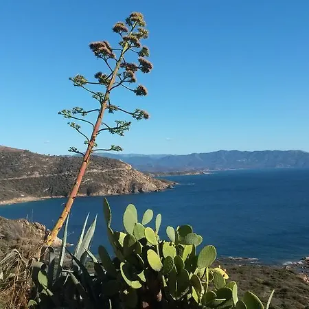 Les Sables Blancs De La Liscia Apartmán Calcatoggio (Corsica)