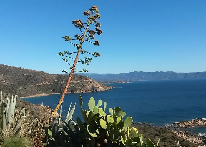 Les Sables Blancs De La Liscia Apartmán Calcatoggio (Corsica)